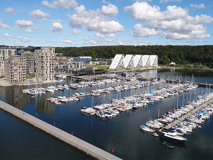 Orm æder Vejle Lystbådehavn