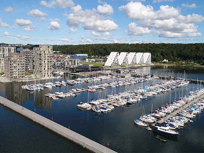 Orm æder Vejle Lystbådehavn