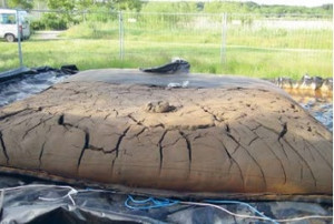 Geotube med afvandet sediment Geotube med afvandet sediment